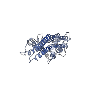 36422_8jmi_D_v1-2
The cryo-EM structure of insect gustatory receptor Gr64a from Drosophila melanogaster in complex with maltose