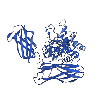 36428_8jmw_A_v1-0
Fibril form of serine peptidase Vpr
