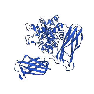 36428_8jmw_B_v1-0
Fibril form of serine peptidase Vpr