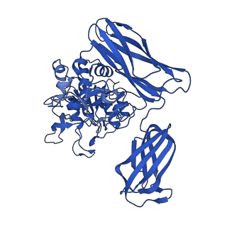 36428_8jmw_C_v1-0
Fibril form of serine peptidase Vpr