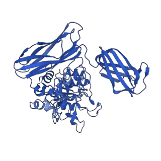 36428_8jmw_D_v1-0
Fibril form of serine peptidase Vpr