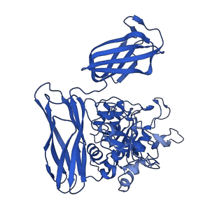 36428_8jmw_E_v1-0
Fibril form of serine peptidase Vpr