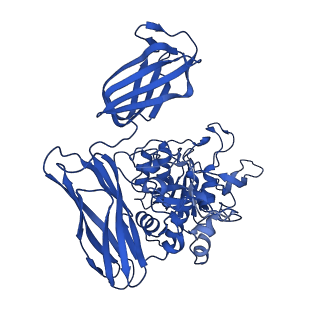 36428_8jmw_F_v1-0
Fibril form of serine peptidase Vpr