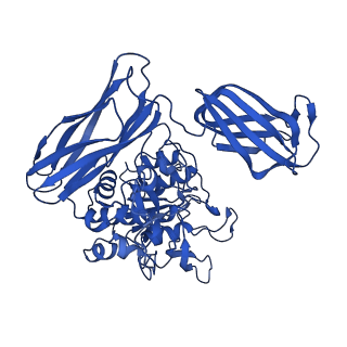 36428_8jmw_G_v1-0
Fibril form of serine peptidase Vpr