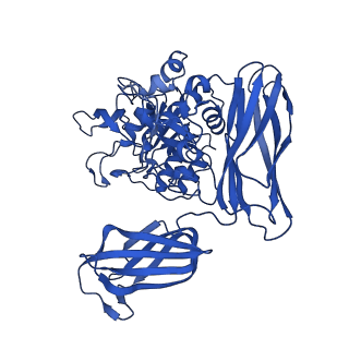 36428_8jmw_I_v1-0
Fibril form of serine peptidase Vpr