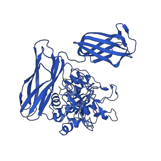 36428_8jmw_K_v1-0
Fibril form of serine peptidase Vpr