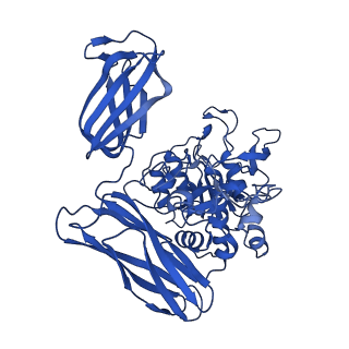 36428_8jmw_L_v1-0
Fibril form of serine peptidase Vpr