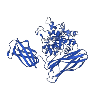 36428_8jmw_M_v1-0
Fibril form of serine peptidase Vpr