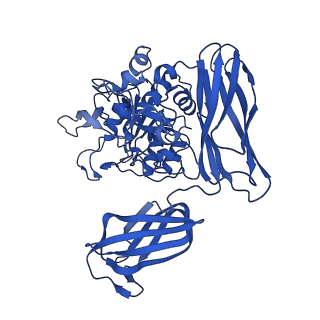 36428_8jmw_N_v1-0
Fibril form of serine peptidase Vpr