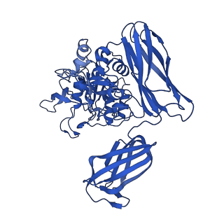 36428_8jmw_O_v1-0
Fibril form of serine peptidase Vpr