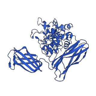 36428_8jmw_P_v1-0
Fibril form of serine peptidase Vpr