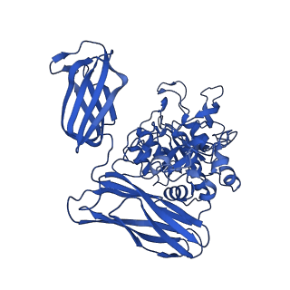 36428_8jmw_Q_v1-0
Fibril form of serine peptidase Vpr