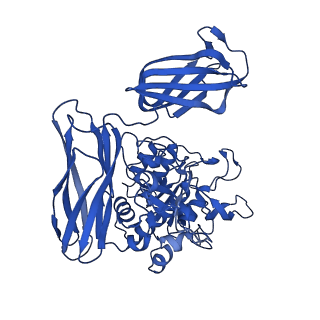 36428_8jmw_R_v1-0
Fibril form of serine peptidase Vpr
