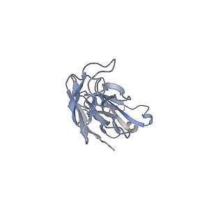 9850_6jmr_F_v1-0
CD98hc extracellular domain bound to HBJ127 Fab and MEM-108 Fab