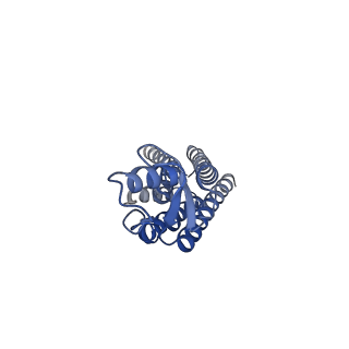 22390_7jn0_B_v1-0
Sheep Connexin-46 at 2.5 angstroms resolution, Lipid Class 2