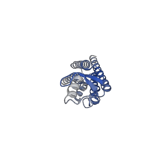 22390_7jn0_C_v1-0
Sheep Connexin-46 at 2.5 angstroms resolution, Lipid Class 2