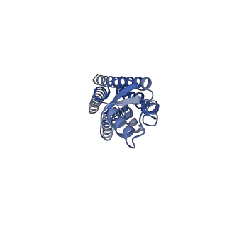 22390_7jn0_D_v1-0
Sheep Connexin-46 at 2.5 angstroms resolution, Lipid Class 2