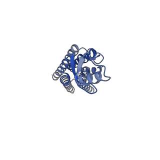 22390_7jn0_E_v1-0
Sheep Connexin-46 at 2.5 angstroms resolution, Lipid Class 2