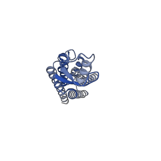 22390_7jn0_F_v1-0
Sheep Connexin-46 at 2.5 angstroms resolution, Lipid Class 2