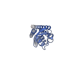22391_7jn1_D_v1-0
Sheep Connexin-46 at 2.5 angstroms resolution, Lipid Class 3