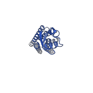 22391_7jn1_E_v1-0
Sheep Connexin-46 at 2.5 angstroms resolution, Lipid Class 3