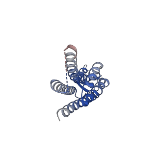 22391_7jn1_G_v1-0
Sheep Connexin-46 at 2.5 angstroms resolution, Lipid Class 3