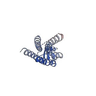 22391_7jn1_H_v1-0
Sheep Connexin-46 at 2.5 angstroms resolution, Lipid Class 3