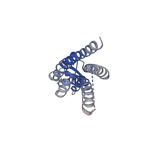 22391_7jn1_J_v1-0
Sheep Connexin-46 at 2.5 angstroms resolution, Lipid Class 3