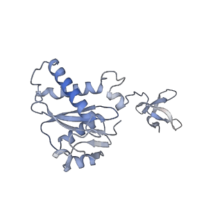 22400_7jn3_B_v1-1
Cryo-EM structure of Rous sarcoma virus cleaved synaptic complex (CSC) with HIV-1 integrase strand transfer inhibitor MK-2048