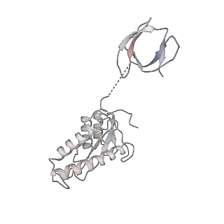 22400_7jn3_D_v1-1
Cryo-EM structure of Rous sarcoma virus cleaved synaptic complex (CSC) with HIV-1 integrase strand transfer inhibitor MK-2048