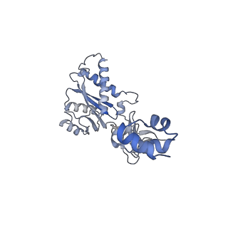 22400_7jn3_E_v1-1
Cryo-EM structure of Rous sarcoma virus cleaved synaptic complex (CSC) with HIV-1 integrase strand transfer inhibitor MK-2048