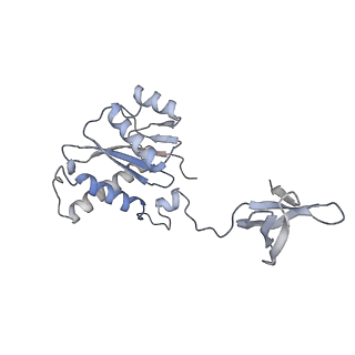22400_7jn3_F_v1-1
Cryo-EM structure of Rous sarcoma virus cleaved synaptic complex (CSC) with HIV-1 integrase strand transfer inhibitor MK-2048