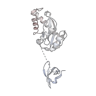 22400_7jn3_H_v1-1
Cryo-EM structure of Rous sarcoma virus cleaved synaptic complex (CSC) with HIV-1 integrase strand transfer inhibitor MK-2048