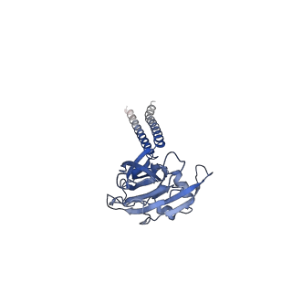 22403_7jna_A_v1-2
Cryo-EM structure of human proton-activated chloride channel PAC at pH 8