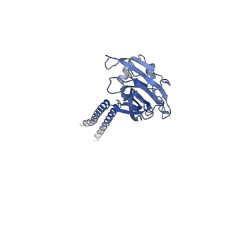 22403_7jna_B_v1-2
Cryo-EM structure of human proton-activated chloride channel PAC at pH 8