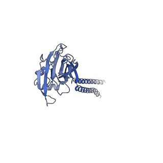 22403_7jna_C_v1-2
Cryo-EM structure of human proton-activated chloride channel PAC at pH 8