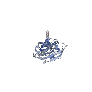22404_7jnc_A_v1-2
cryo-EM structure of human proton-activated chloride channel PAC at pH 4