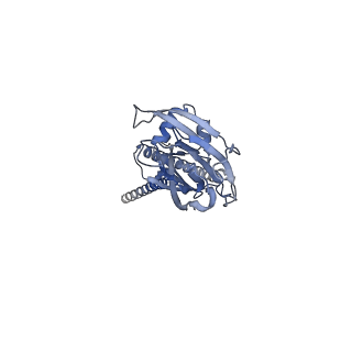 22404_7jnc_B_v1-2
cryo-EM structure of human proton-activated chloride channel PAC at pH 4