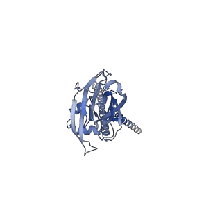 22404_7jnc_C_v1-2
cryo-EM structure of human proton-activated chloride channel PAC at pH 4