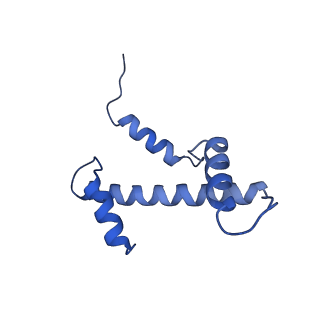 36442_8jnd_A_v1-0
The cryo-EM structure of the nonameric RAD51 ring bound to the nucleosome with the linker DNA binding