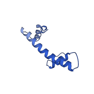 36442_8jnd_B_v1-0
The cryo-EM structure of the nonameric RAD51 ring bound to the nucleosome with the linker DNA binding