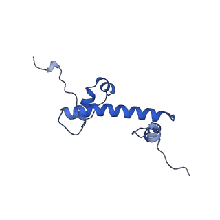 36442_8jnd_C_v1-0
The cryo-EM structure of the nonameric RAD51 ring bound to the nucleosome with the linker DNA binding