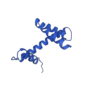 36442_8jnd_D_v1-0
The cryo-EM structure of the nonameric RAD51 ring bound to the nucleosome with the linker DNA binding