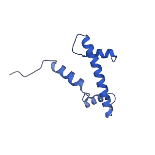 36442_8jnd_E_v1-0
The cryo-EM structure of the nonameric RAD51 ring bound to the nucleosome with the linker DNA binding