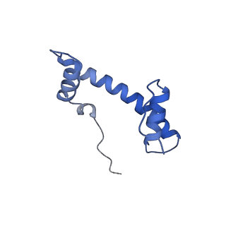 36442_8jnd_F_v1-0
The cryo-EM structure of the nonameric RAD51 ring bound to the nucleosome with the linker DNA binding