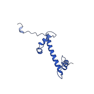 36442_8jnd_G_v1-0
The cryo-EM structure of the nonameric RAD51 ring bound to the nucleosome with the linker DNA binding