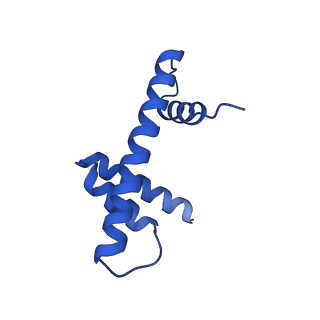 36442_8jnd_H_v1-0
The cryo-EM structure of the nonameric RAD51 ring bound to the nucleosome with the linker DNA binding