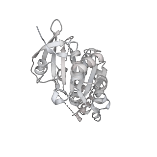 36442_8jnd_K_v1-0
The cryo-EM structure of the nonameric RAD51 ring bound to the nucleosome with the linker DNA binding