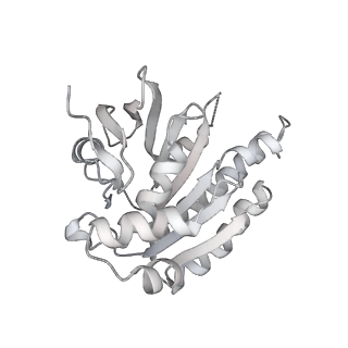 36442_8jnd_L_v1-0
The cryo-EM structure of the nonameric RAD51 ring bound to the nucleosome with the linker DNA binding