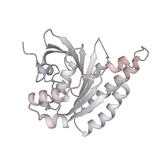 36442_8jnd_M_v1-0
The cryo-EM structure of the nonameric RAD51 ring bound to the nucleosome with the linker DNA binding